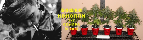 a pvp Каменногорск
