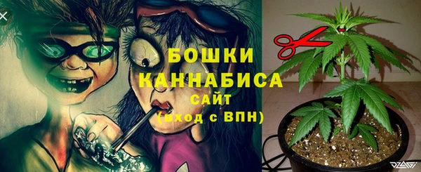 ALPHA PVP Каменск-Шахтинский