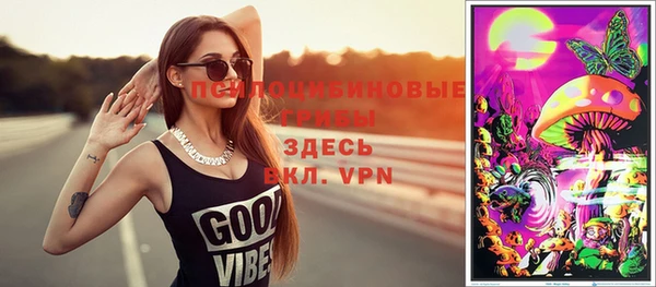 a pvp Каменногорск