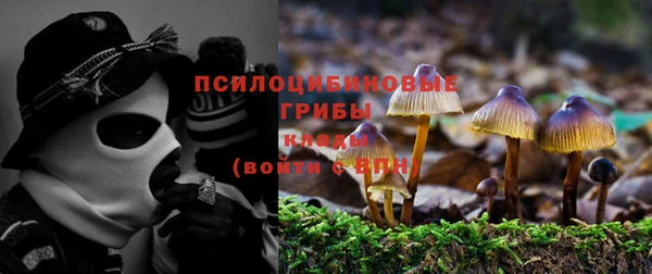 ALPHA PVP Каменск-Шахтинский